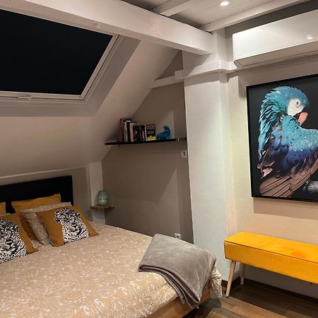 Charmant Duplex Privatise, Climatise, 2 Chambres Straatsburg Buitenkant foto