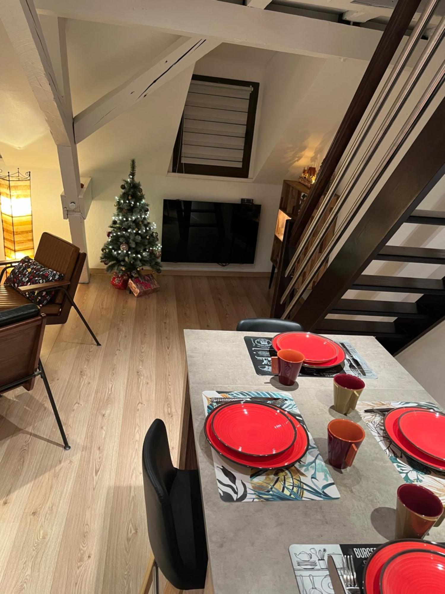 Charmant Duplex Privatise, Climatise, 2 Chambres Straatsburg Buitenkant foto